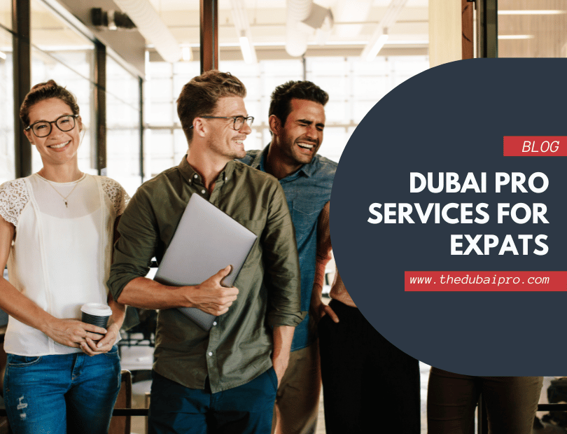 Dubai PRO Services for Expats | The Dubai Pro