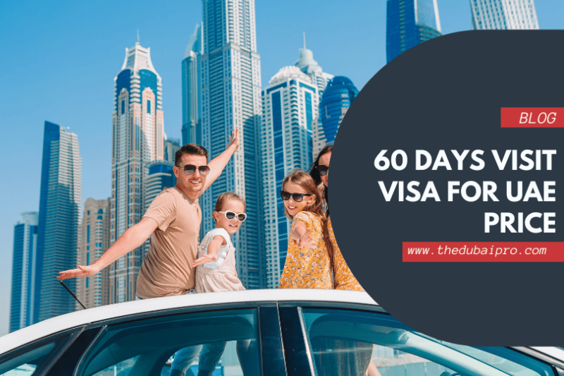 60 days visit visa for uae price | the dubai pro