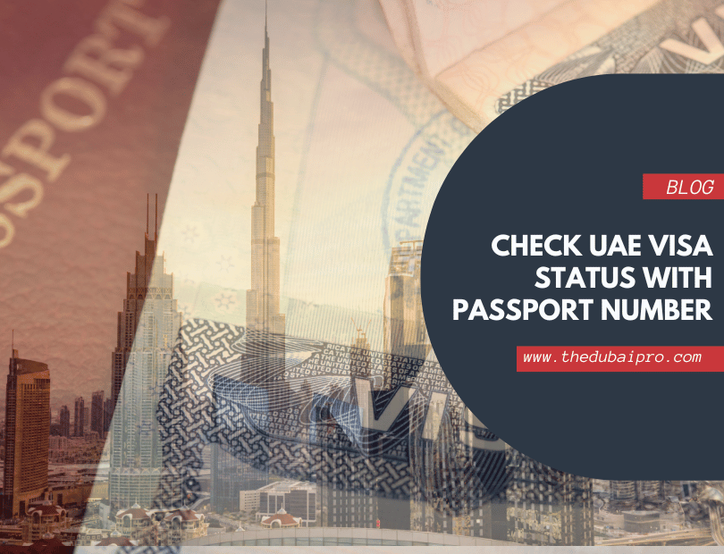 Green visa UAE -the dubai pro