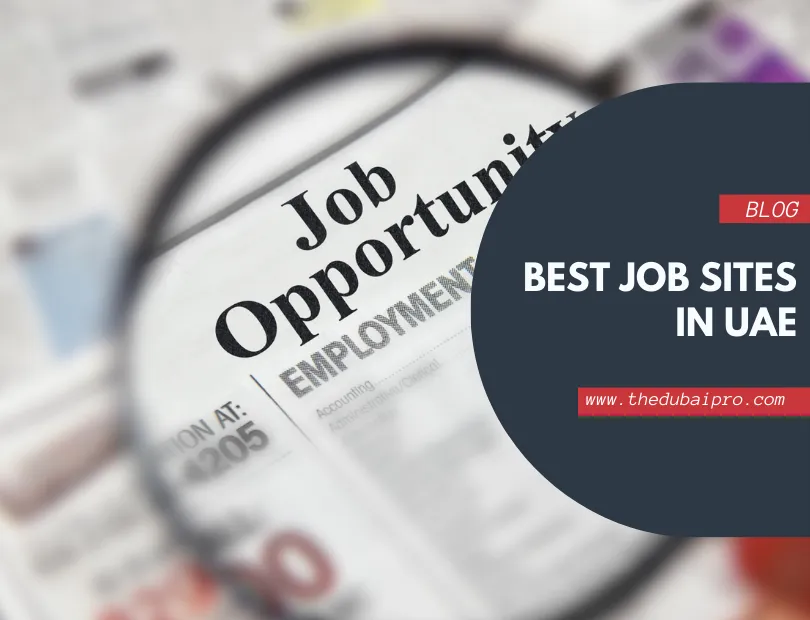 best job sites in uae -the dubai pro