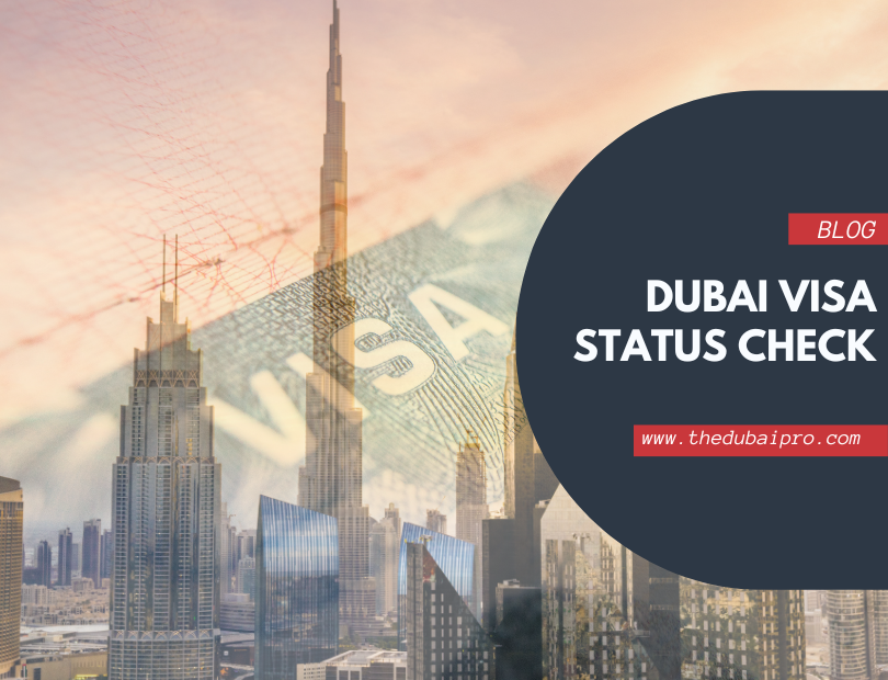 dubai visa status check -The Dubai Pro