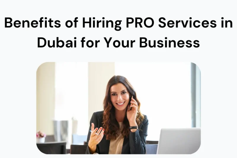 How to Start a Business in Dubai Free Zones 1