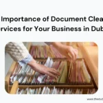 The Importance of Document Clearing Services for Your Business in Dubai