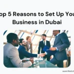 Top 5 Reasons to Set Up Your Business in Dubai