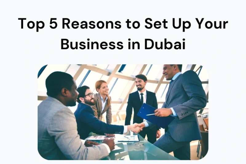 Top 5 Reasons to Set Up Your Business in Dubai