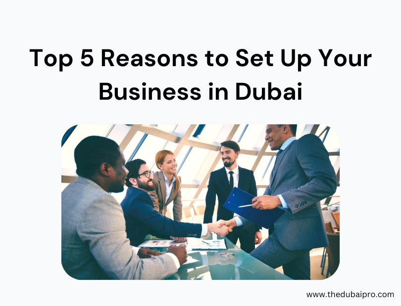 Top 5 Reasons to Set Up Your Business in Dubai