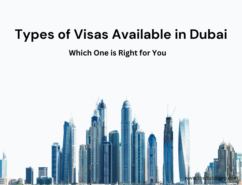 Types of Visas Available in Dubai