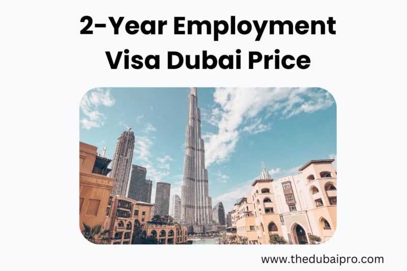 2-Year Employment Visa Dubai Price