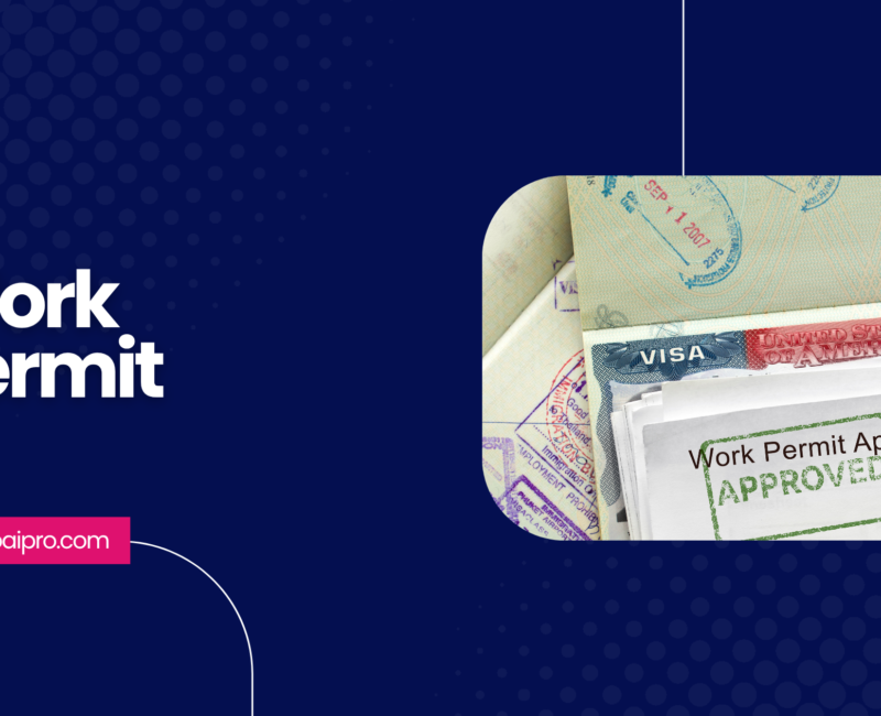 Work Permit Number UAE: Complete 2025 Guide (Check Status, Find Number, Temporary & Part-Time Permits)