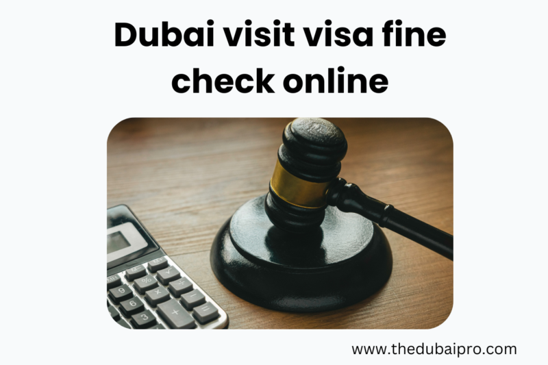 Dubai visit visa fine check online