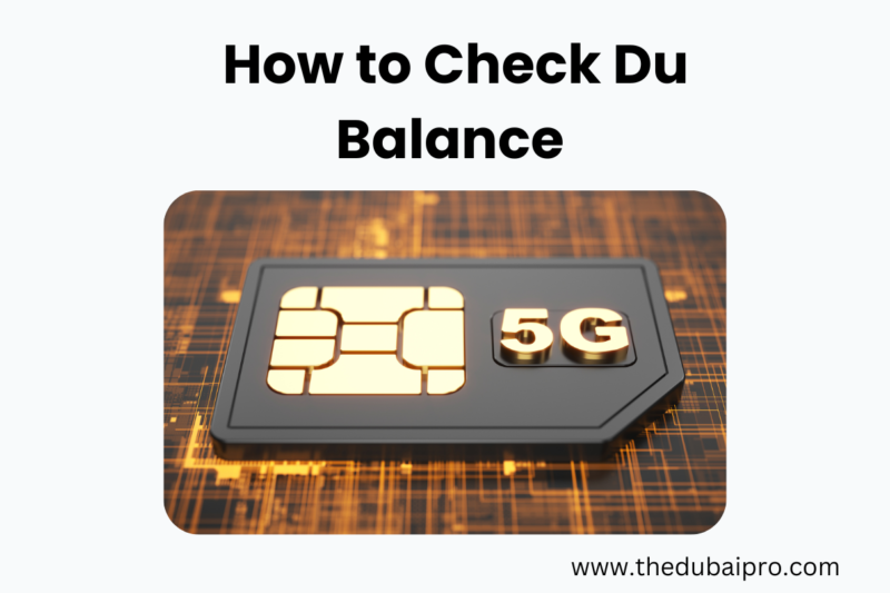 How to Check Du Balance