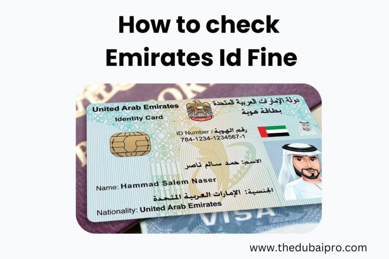 How to check Emirates Id Fine