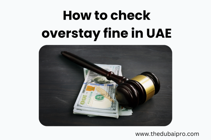 How to check overstay fine in UAE