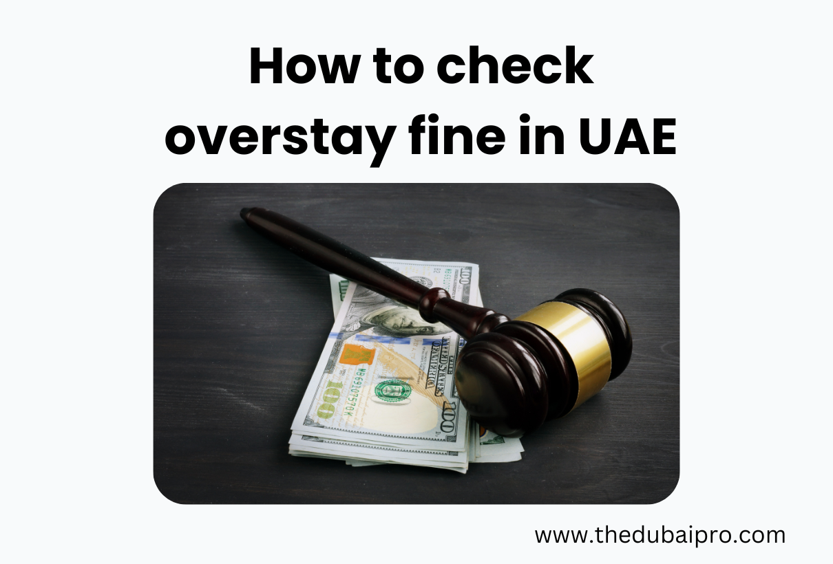 How to check overstay fine in UAE