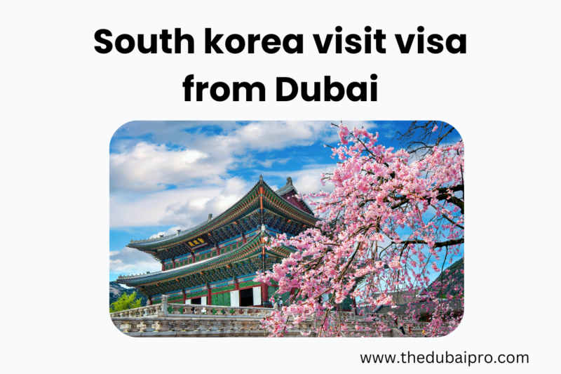 South korea visit visa from Dubai