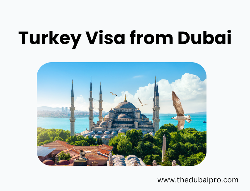 Turkey Visa from Dubai