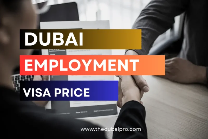 dubai employment visa price_ (1)