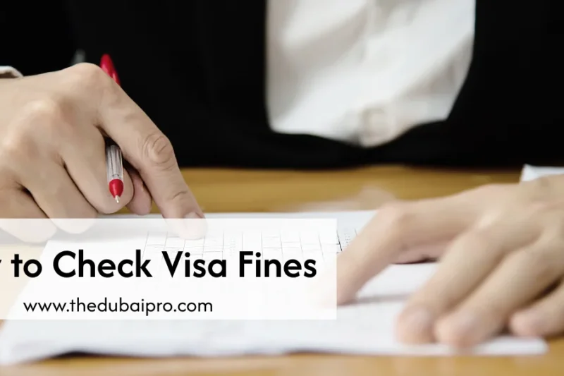 Check Visa Fine