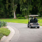Two Seater Golf Cart