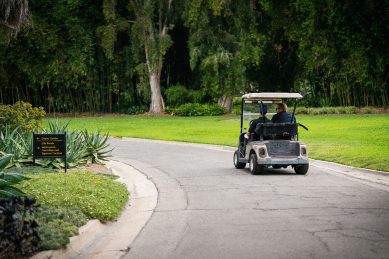 Two Seater Golf Cart