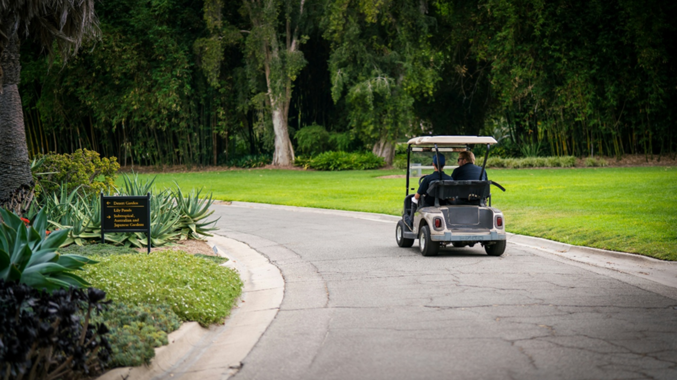 Two Seater Golf Cart